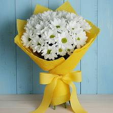 Букет цветов из:  Хризантемы в Шеметово Сергиево-Посадского района