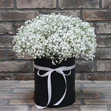 Цветочная композиция из Гипсофила в шляпной коробке в Шеметово Сергиево-Посадского района