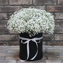 Цветочная композиция из Гипсофила в шляпной коробке в Шеметово Сергиево-Посадского района